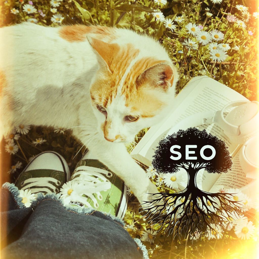 green SEO 2024-2